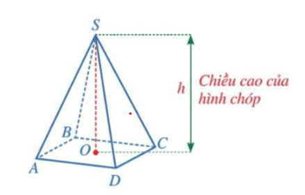 Hình chóp tứ giác đều (Lý thuyết Toán lớp 8) | Cánh diều