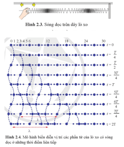 Lý thuyết Vật Lí 11 Cánh diều Bài 2: Sóng dọc và sóng ngang