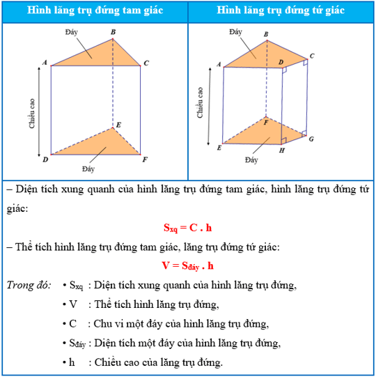 Hình lăng trụ đứng tam giác và hình lăng trụ đứng tứ giác (Lý thuyết Toán lớp 7) | Kết nối tri thức (ảnh 3)