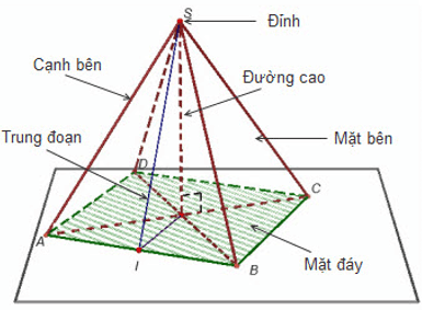 Lý thuyết Hình chóp đều và hình chóp cụt đều | Lý thuyết và Bài tập Toán 8 có đáp án