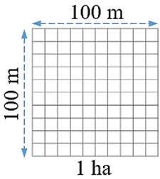 Héc-ta (Lý thuyết + 15 Bài tập Toán lớp 5)