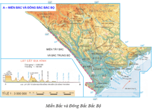 Địa Lí 8 Bài 41: Miền Bắc và Đông Bắc Bắc Bộ