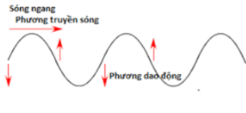 Sóng cơ và sự truyền sóng cơ - Lý thuyết Vật Lý 12 đầy đủ