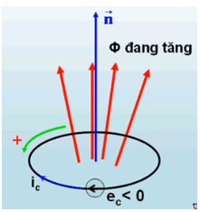 Lý thuyết Suất điện động cảm ứng | Chuyên đề: Lý thuyết - Bài tập Vật Lý 11 có đáp án