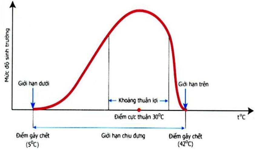 Chuyên đề Sinh học lớp 9