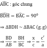 Chuyên đề Toán lớp 9 | Chuyên đề Lý thuyết và Bài tập Đại số và Hình học 9 có đáp án