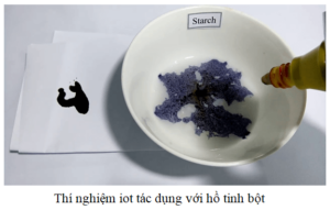 Nêu hiện tượng xảy ra khi cho dung dịch iot tác dụng với hồ tinh bột