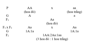 Chuyên đề Sinh học lớp 9