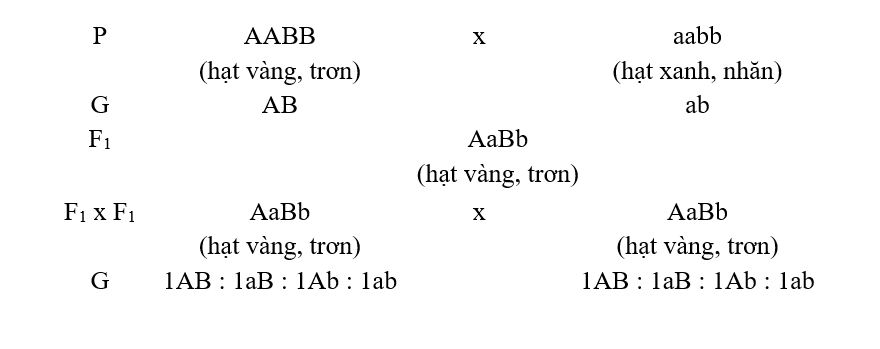 Chuyên đề Sinh học lớp 9