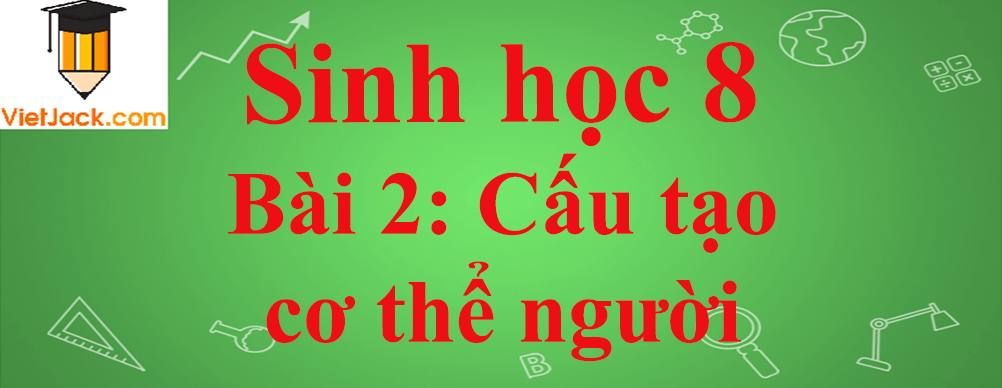 Sinh học lớp 8 Bài 2: Cấu tạo cơ thể người ngắn nhất