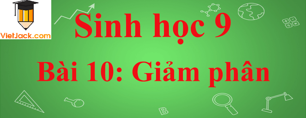 Sinh học lớp 9 Bài 10: Giảm phân ngắn nhất