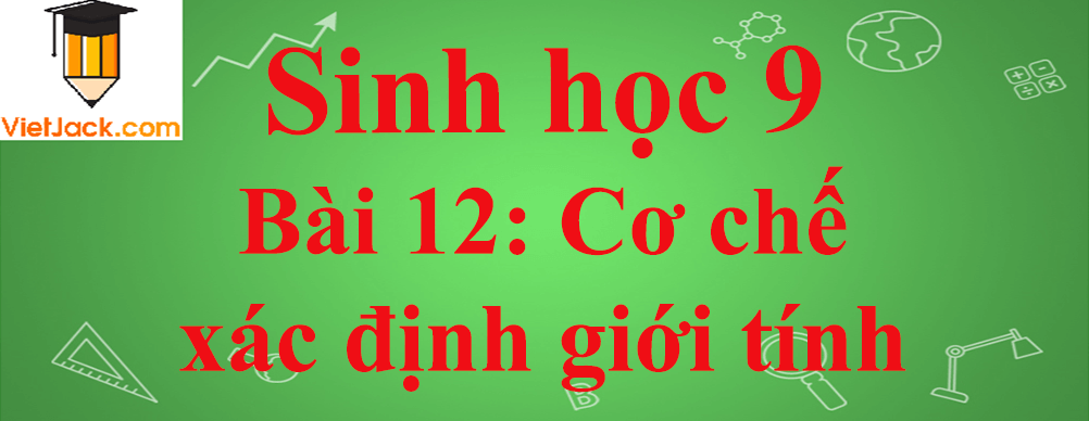 Sinh học lớp 9 Bài 12: Cơ chế xác định giới tính ngắn nhất