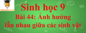 Sinh học lớp 9 Bài 44: Ảnh hưởng lẫn nhau giữa các sinh vật ngắn nhất