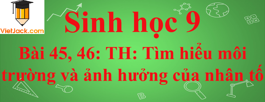 Sinh học lớp 9 Bài 45, 46: Thực hành: Tìm hiểu môi trường và ảnh hưởng của một số nhân tố sinh thái lên đời sống sinh vật ngắn nhất