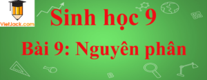 Sinh học lớp 9 Bài 9: Nguyên phân ngắn nhất