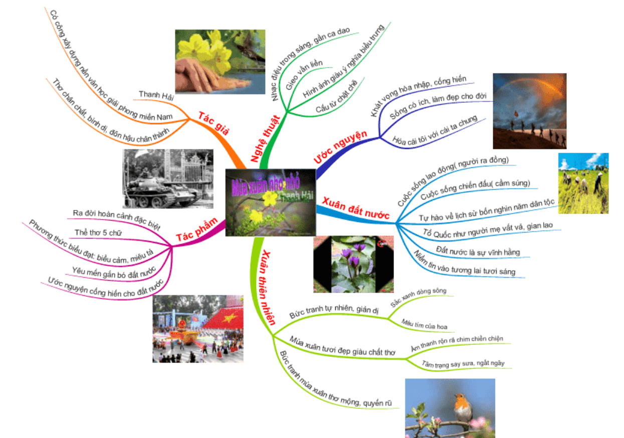 Sơ đồ tư duy bài thơ Mùa xuân nho nhỏ (dễ nhớ, ngắn gọn)