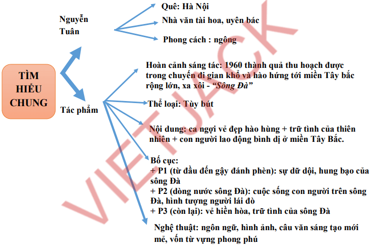 Sơ đồ tư duy Người lái đò sông Đà hay nhất, chi tiết