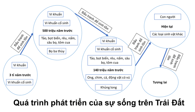 Soạn bài Sự sống và cái chết | Hay nhất Soạn văn 10 Kết nối tri thức