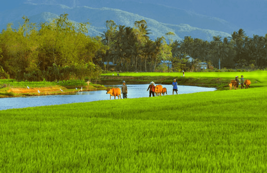 Top 30 Tả cảnh đẹp quê hương em lớp 5 (hay nhất)