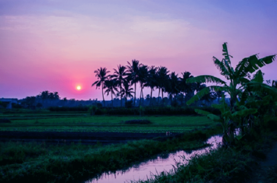 Văn mẫu lớp 5 | Tập làm văn lớp 5