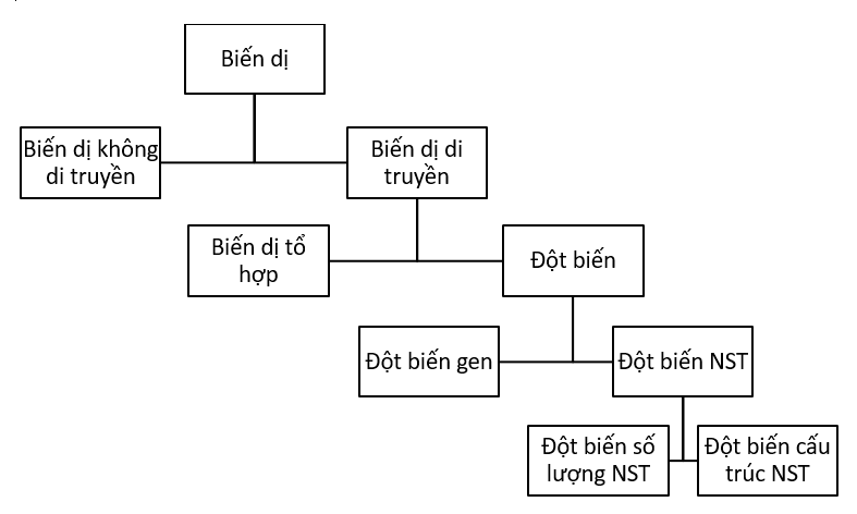 Chuyên đề Sinh học lớp 9