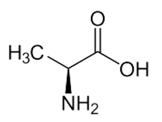 Tính chất hóa học của alanine C3H7NO2 | Tính chất vật lí, nhận biết, điều chế, ứng dụng