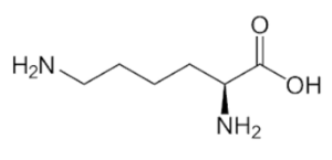 Tính chất hóa học của Lysin C6H14N2O2 | Tính chất vật lí, nhận biết, điều chế, ứng dụng