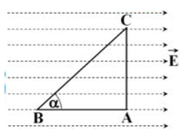 Vật Lí lớp 11 | Chuyên đề: Công của lực điện, Hiệu điện thế đề: Lý thuyết - Bài tập Vật Lý 11 có đáp án