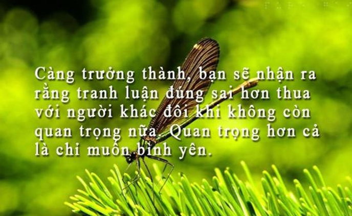 Tổng hợp stt hay về cuộc sống