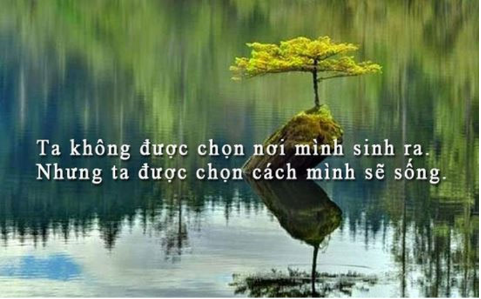 Tổng hợp stt hay về cuộc sống