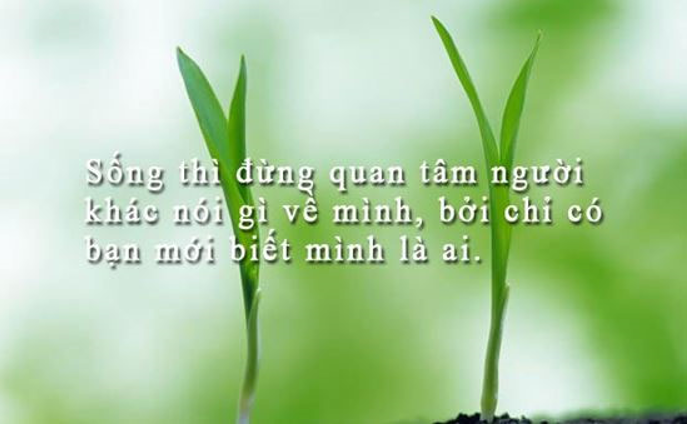 Tổng hợp stt hay về cuộc sống