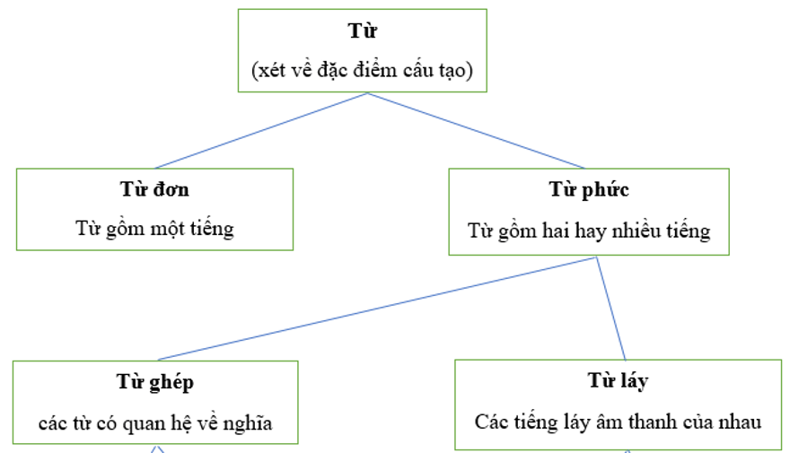 Soạn văn lớp 9 | Soạn bài lớp 9