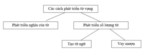 Tổng về từ vựng lớp 9