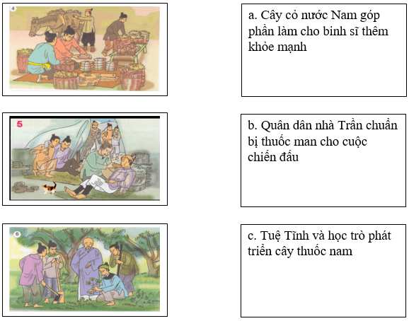 Bài tập trắc nghiệm Cây cỏ nước nam lớp 5 có đáp án