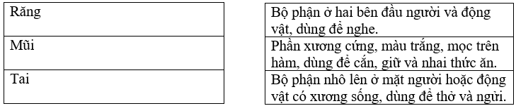 20 Bài tập trắc nghiệm Từ nhiều nghĩa lớp 5 có đáp án