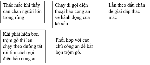 10 Bài tập trắc nghiệm Người gác rừng tí hon lớp 5 có đáp án