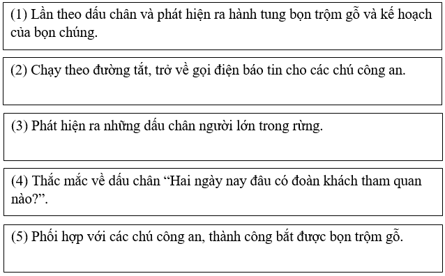 10 Bài tập trắc nghiệm Người gác rừng tí hon lớp 5 có đáp án