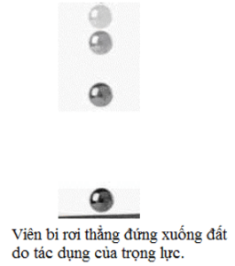 Trọng lực là gì? Lấy ví dụ chứng tỏ có trọng lực tác dụng lên một vật