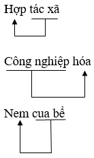 Từ ghép | Ngữ văn 7