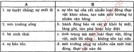 Soạn Unit 10 lớp 12: Reading | Tiếng Anh 12 và giải bài tập tiếng Anh lớp 12 | Để học tốt Tiếng Anh 12