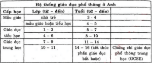 Soạn Unit 4 lớp 12: Reading | Tiếng Anh 12 và giải bài tập tiếng Anh lớp 12 | Để học tốt Tiếng Anh 12