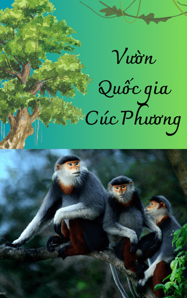 Soạn bài Vườn quốc gia Cúc Phương | Hay nhất Soạn văn 9 Chân trời sáng tạo