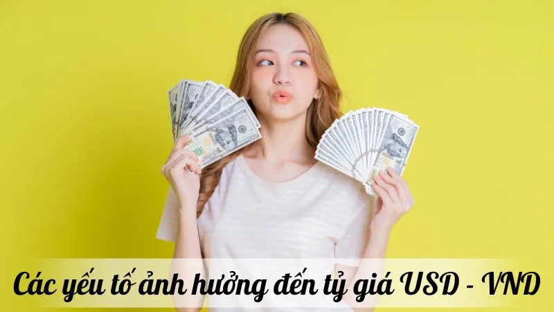 Các yếu tố ảnh hưởng đến tỷ giá USD - VND