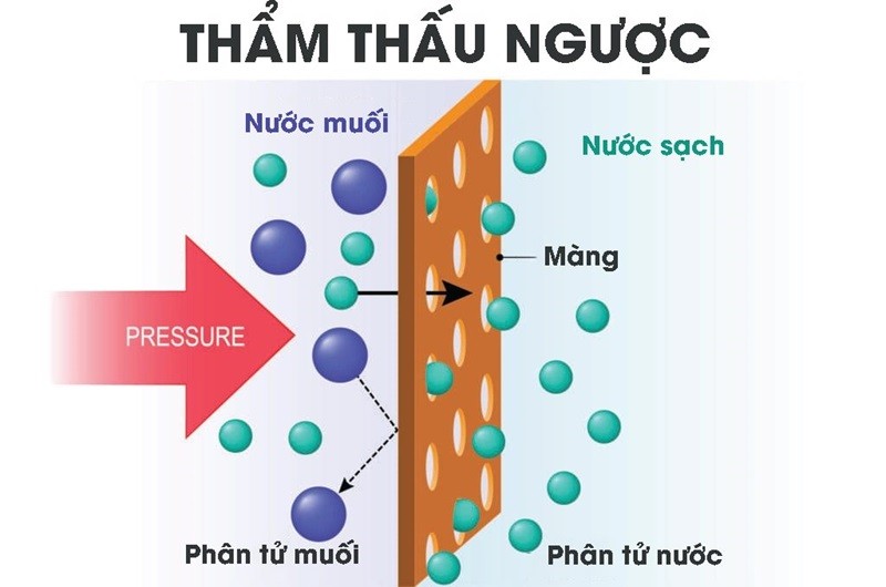 Nguyễn-ly-Hat-Dong-Tua-Tham-Thau-Nguoc-1024x679