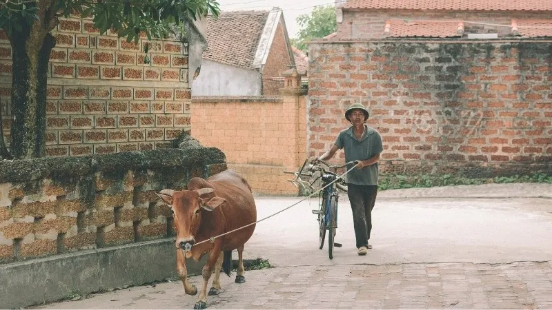 Ý nghĩa của những câu ca dao tục ngữ về tình làng nghĩa xóm