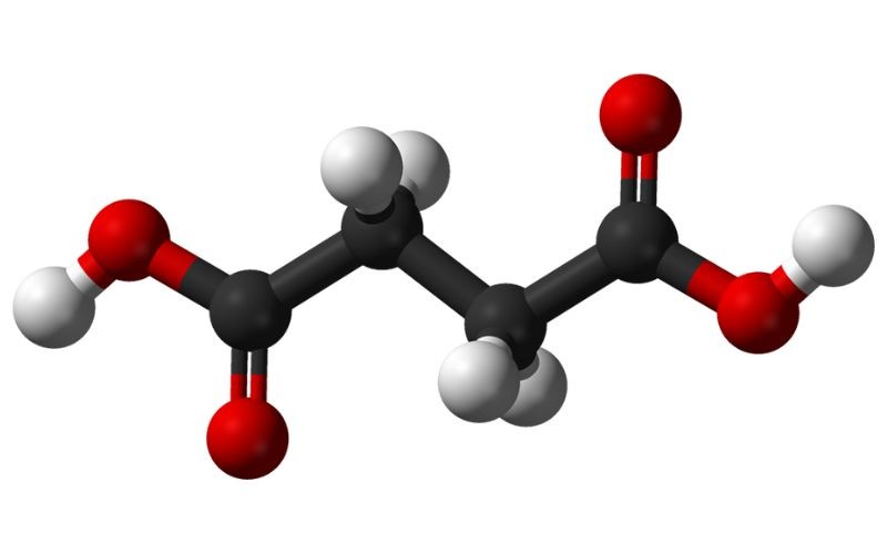 Succinic-Acid-Cau-Truc-Phan-Tu