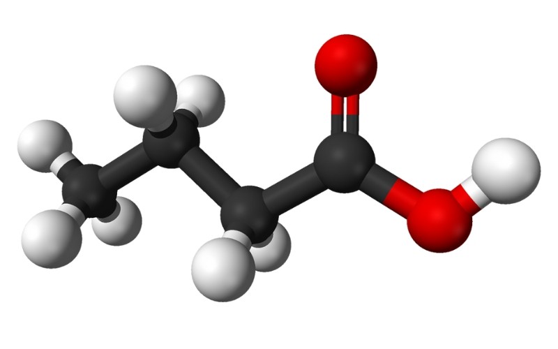 axit-butyric
