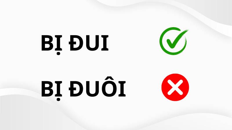 Bị đuôi hay bị đui