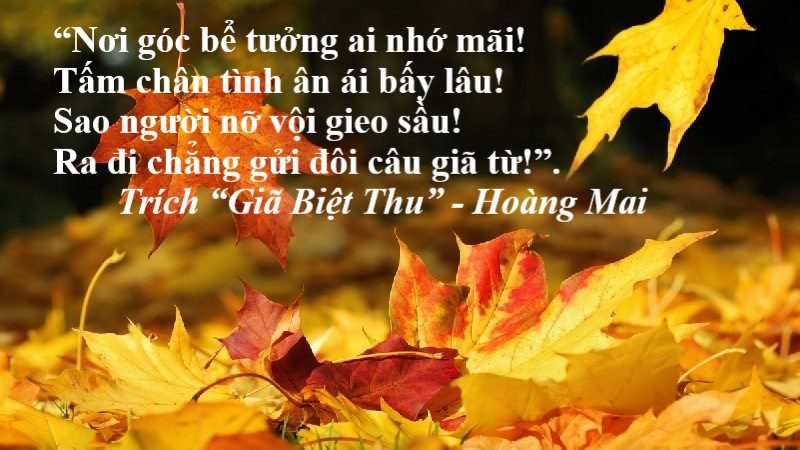 các thể thơ việt nam