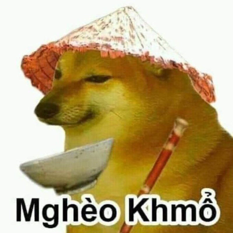 Cheems meme nghèo khổ